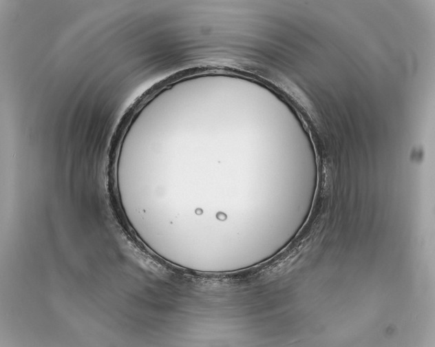 X0000090751020200708101720