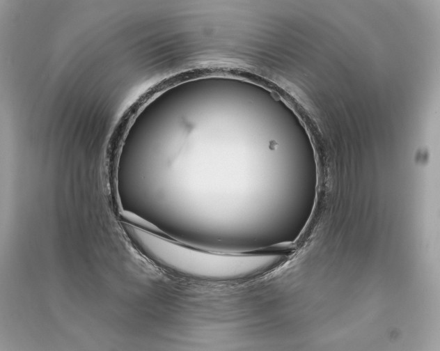 X0000090751022200708101720