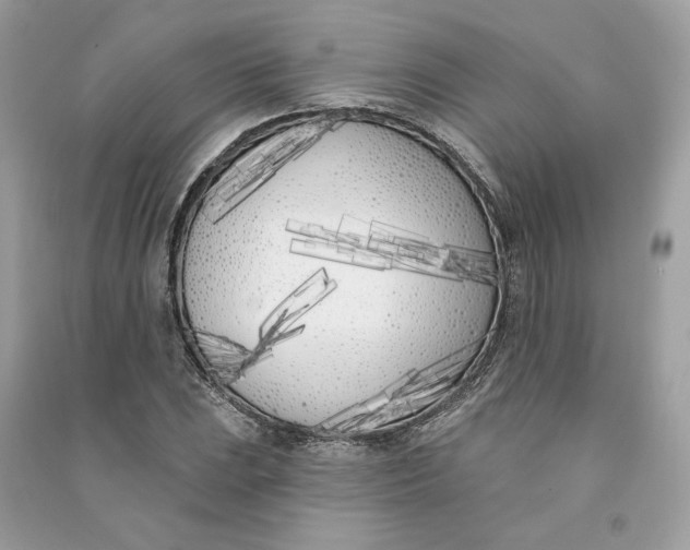 X0000090751023200708101720