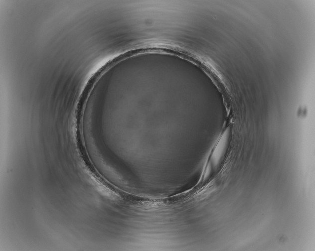 X0000090751024200708101720