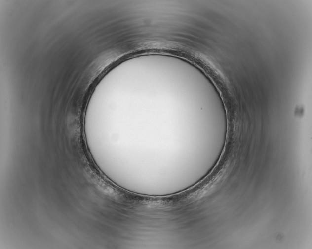 X0000090751025200708101720