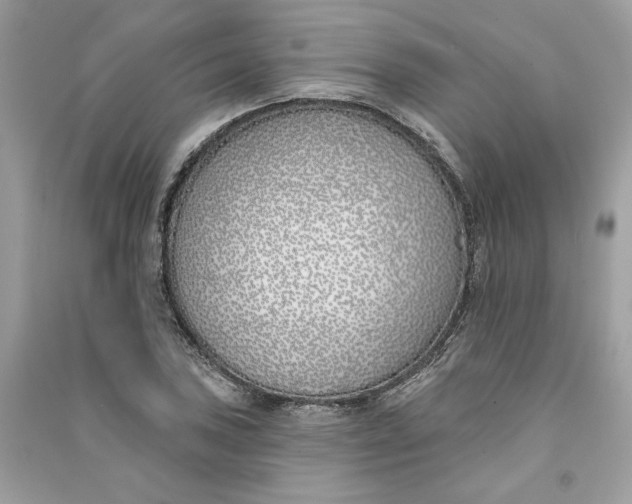 X0000090751027200708101720