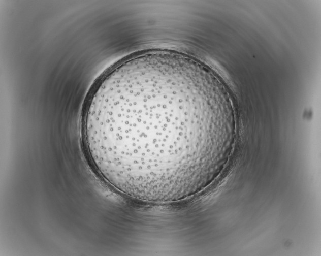 X0000090751028200708101720