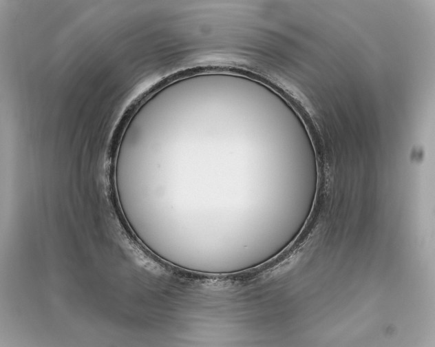 X0000090751029200708101720