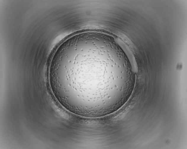 X0000090751030200708101720