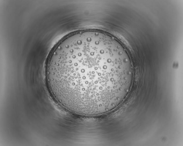 X0000090751031200708101720