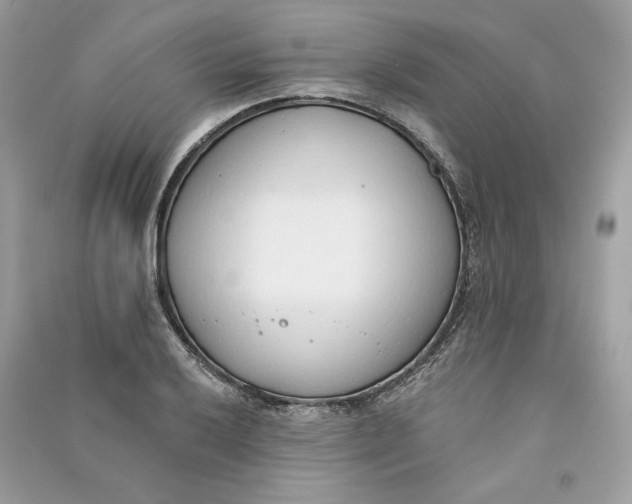 X0000090751032200708101720