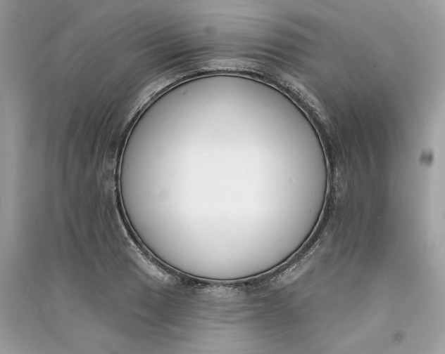 X0000090751033200708101720