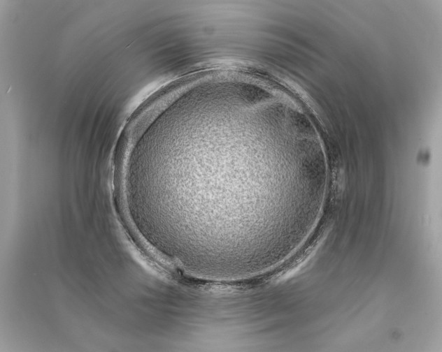 X0000090751034200708101720