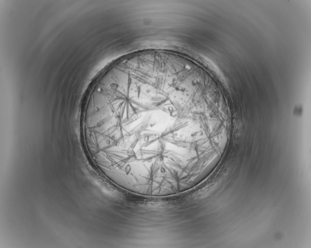 X0000090751035200708101720