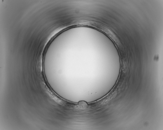 X0000090751036200708101720