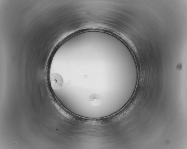 X0000090751037200708101720