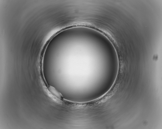 X0000090751038200708101720