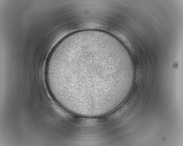 X0000090751039200708101720