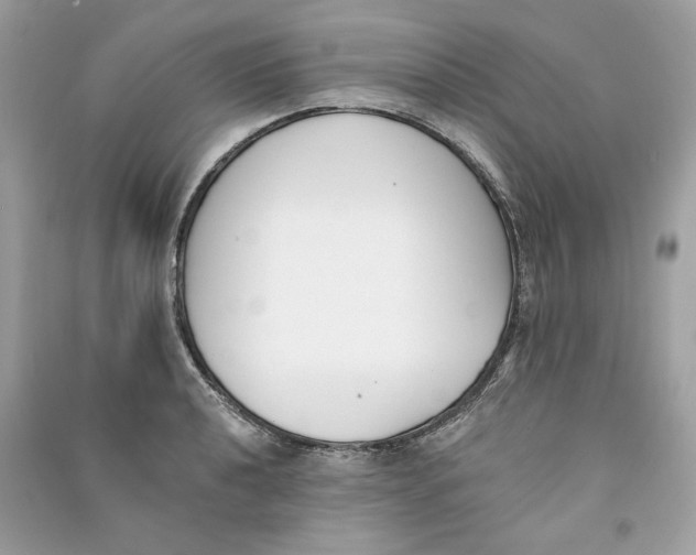 X0000090751040200708101720