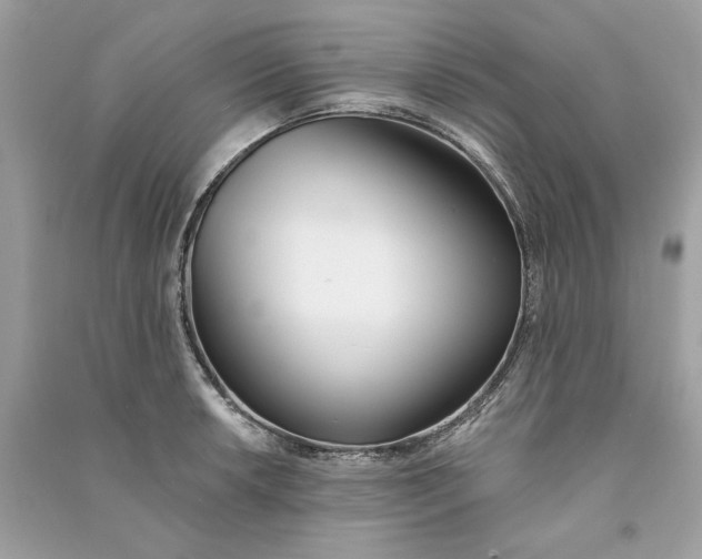 X0000090751042200708101720