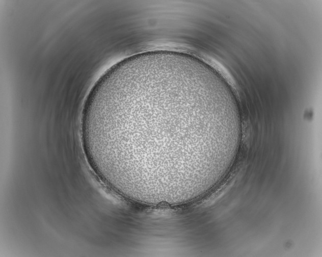 X0000090751043200708101720