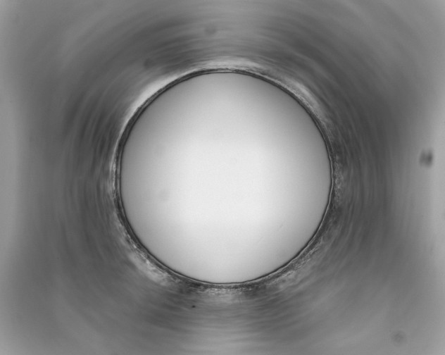 X0000090751044200708101720