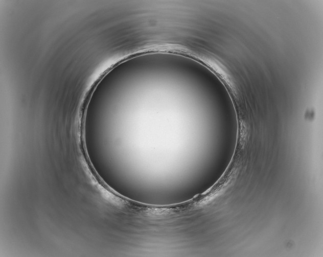 X0000090751046200708101720