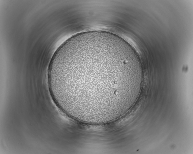 X0000090751047200708101720