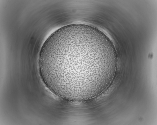 X0000090751048200708101720