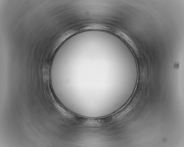 X0000090751049200708101720