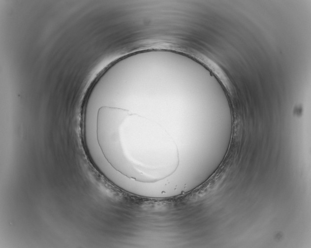 X0000090751051200708101721