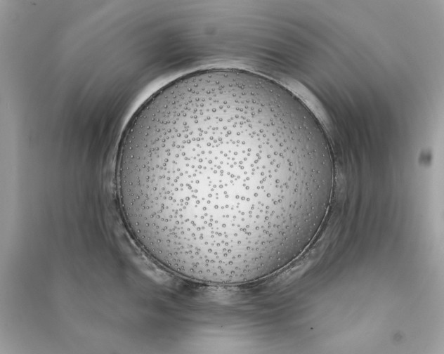 X0000090751052200708101721