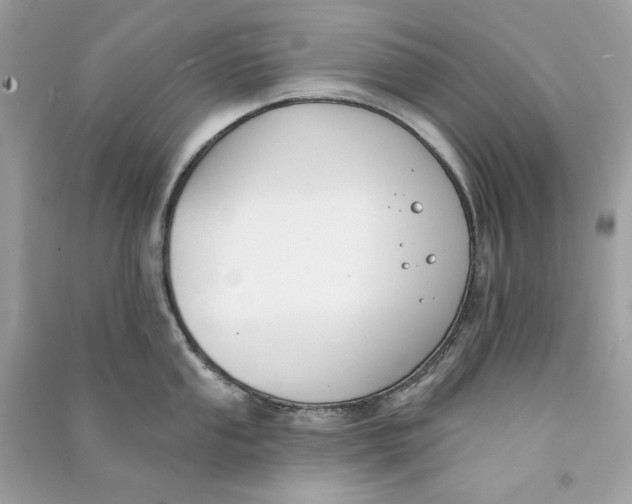 X0000090751053200708101721