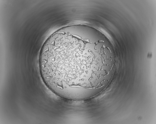 X0000090751055200708101721