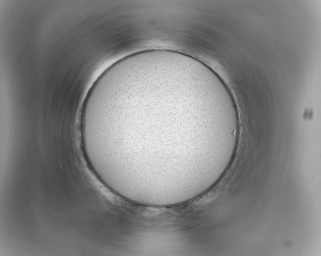 X0000090751056200708101721