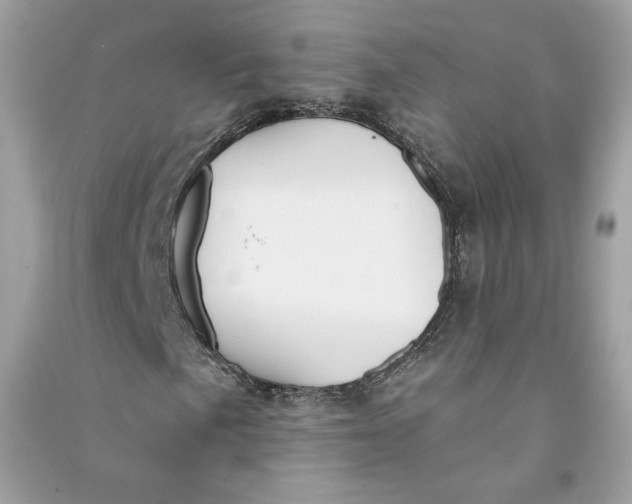 X0000090751057200708101720