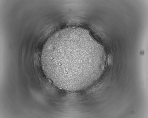 X0000090751059200708101720