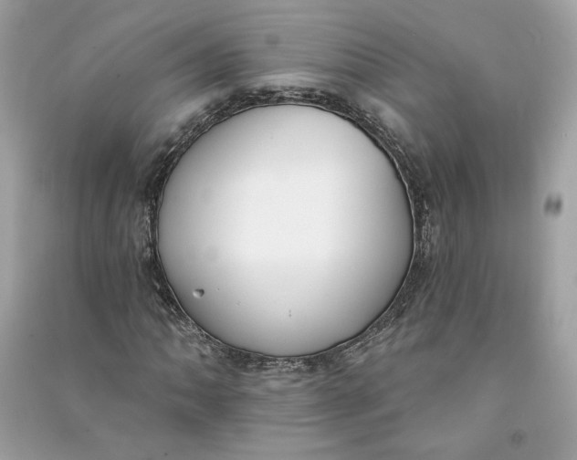 X0000090751062200708101720