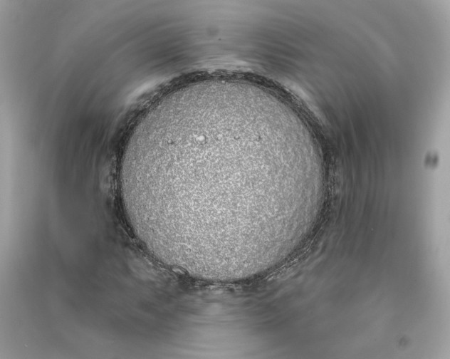 X0000090751063200708101720