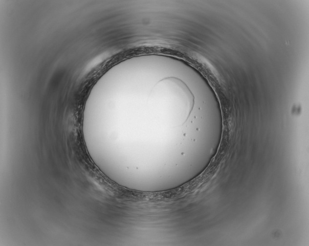 X0000090751064200708101720