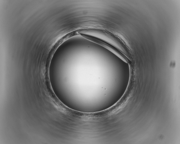 X0000090751065200708101720