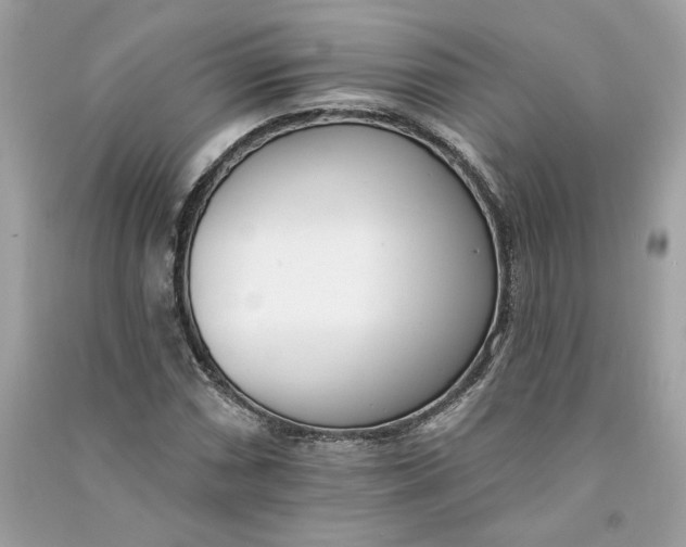 X0000090751066200708101720