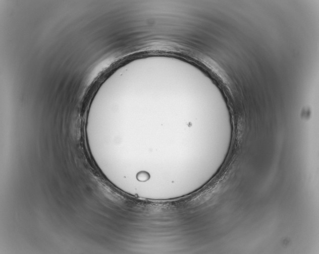 X0000090751067200708101720