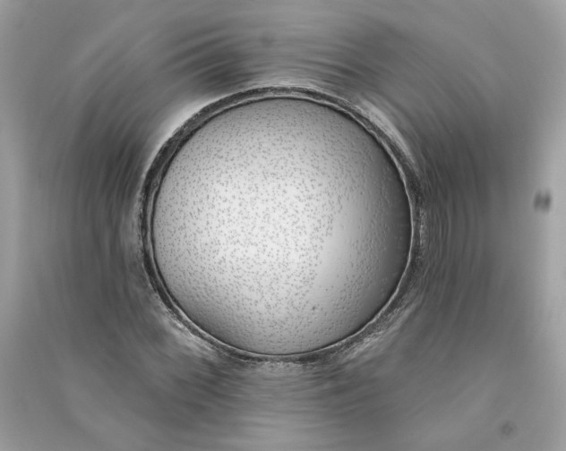 X0000090751068200708101720