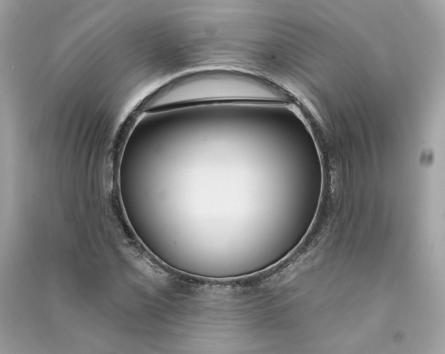 X0000090751069200708101720