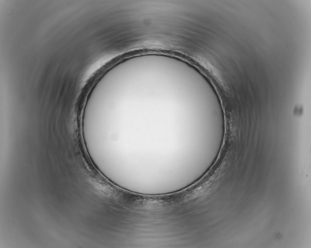 X0000090751070200708101720