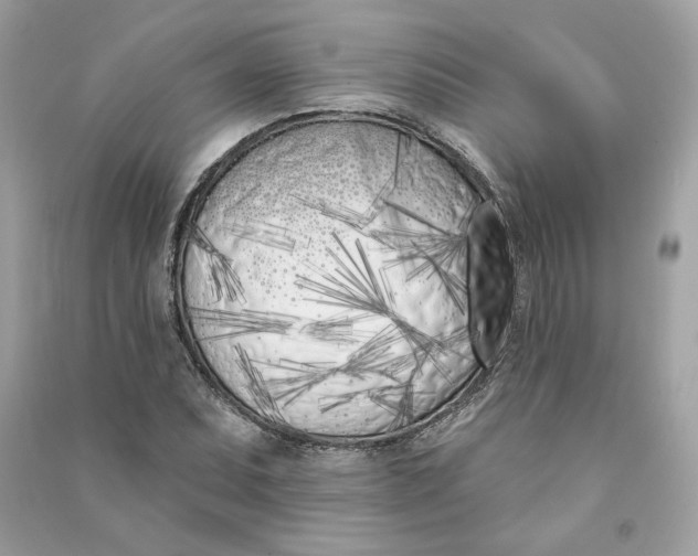 X0000090751071200708101720