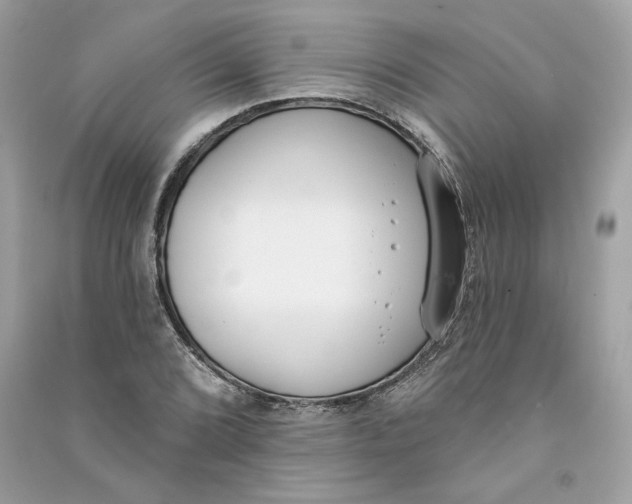 X0000090751072200708101720