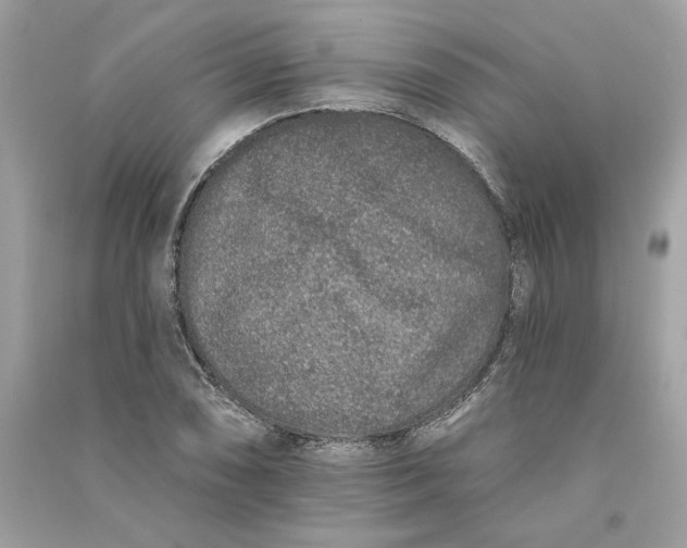 X0000090751074200708101720