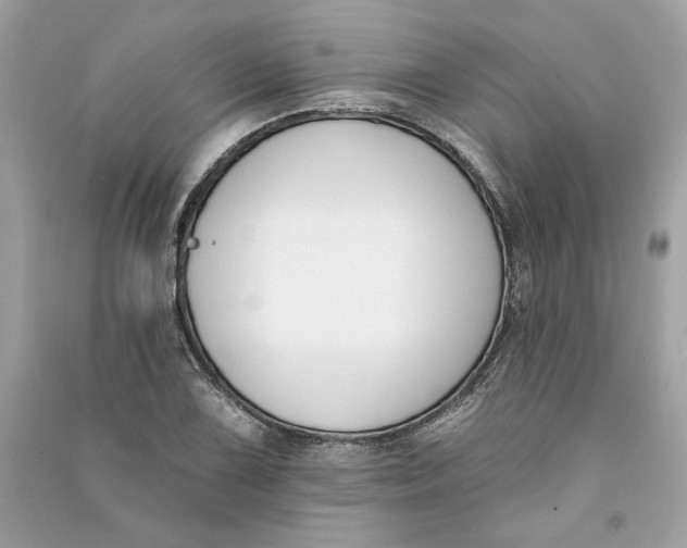 X0000090751075200708101720