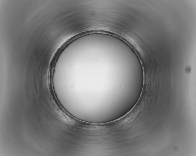 X0000090751076200708101720