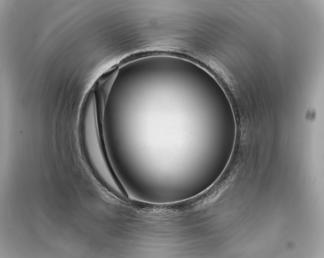 X0000090751077200708101720