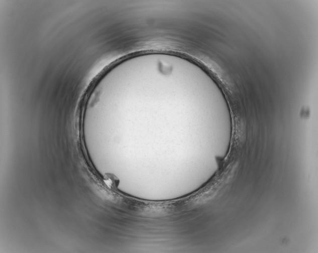 X0000090751078200708101720