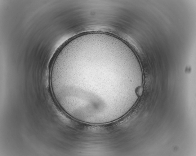 X0000090751079200708101720